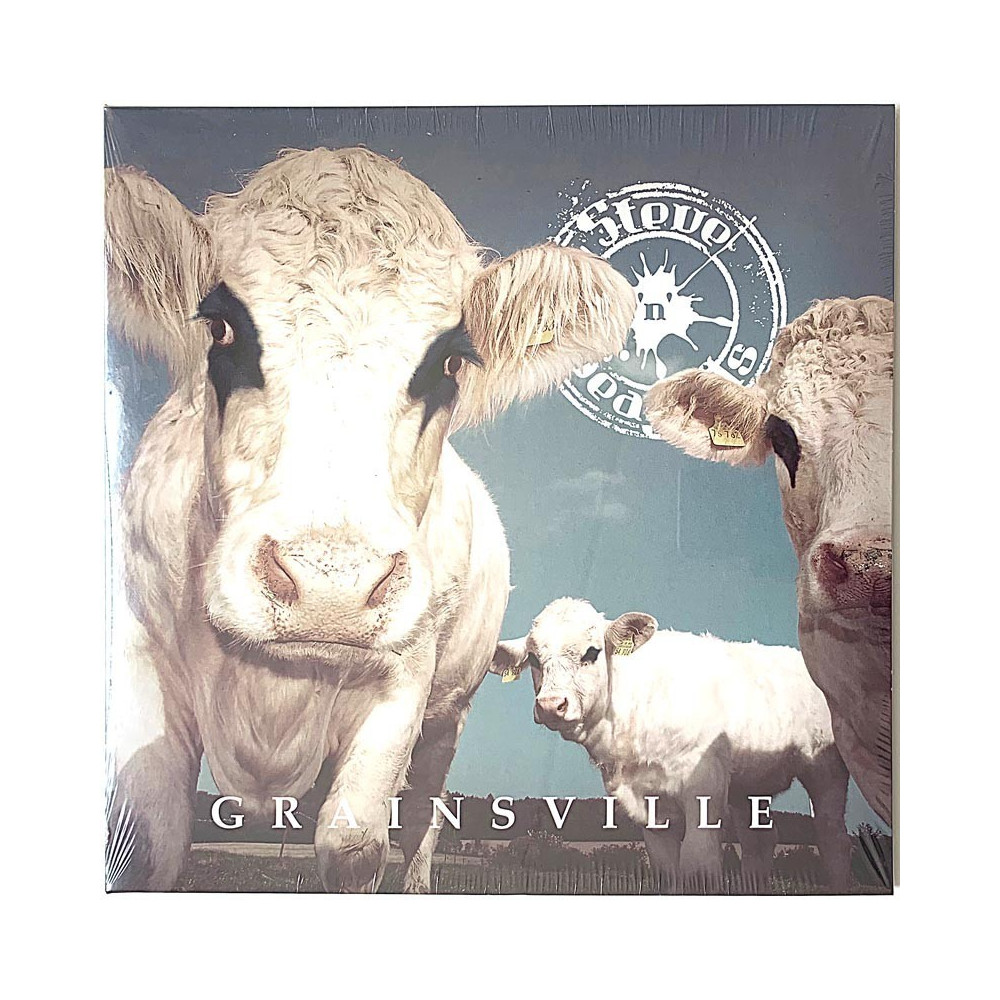 Steve'n'Seagulls 2018 SPINE764598 Grainsville LP