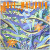 Maijanen Pave 1985 062 1384701 Palava sydän Begagnat LP