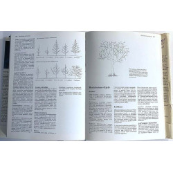 Puutarhakirja 1984 ISBN 951-1-07811-9 Suomentaja: Hannele Vainio Käytetty kirja