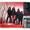 In The Name 1995 VICP-5568 In the name CD