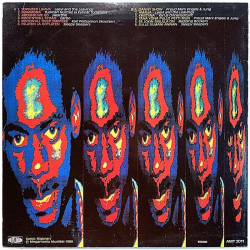 Sleepy Sleepers, Leevi and the Leavings ym. 1988 AMT 2011 Suomen valiot Used LP