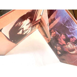 Walsh Joe: The smoker you drink  kansi G- levy VG Käytetty LP