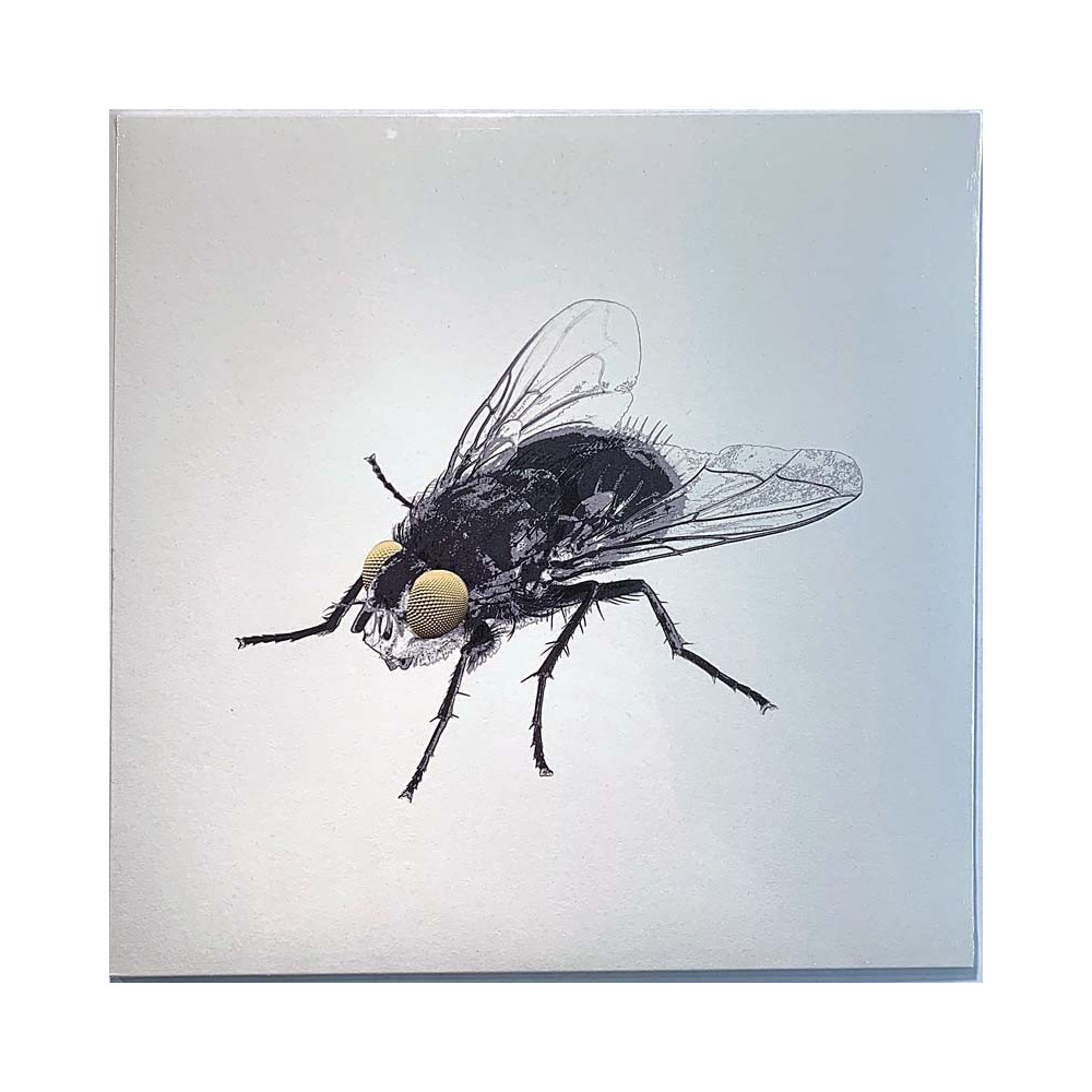 Antti Reini & Maapallon Maitolaiturit 2016 SVART041 Kärpänen LP