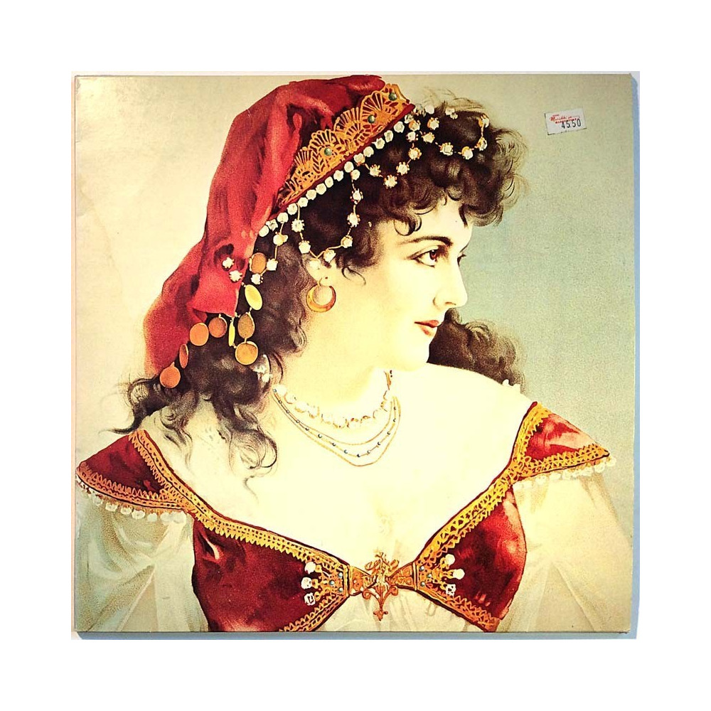 Pen Lee: Catlook Gypsies 2LP  kansi G+ levy EX Käytetty LP