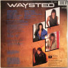 Waysted: Save Your Prayers  kansi EX levy EX Käytetty LP