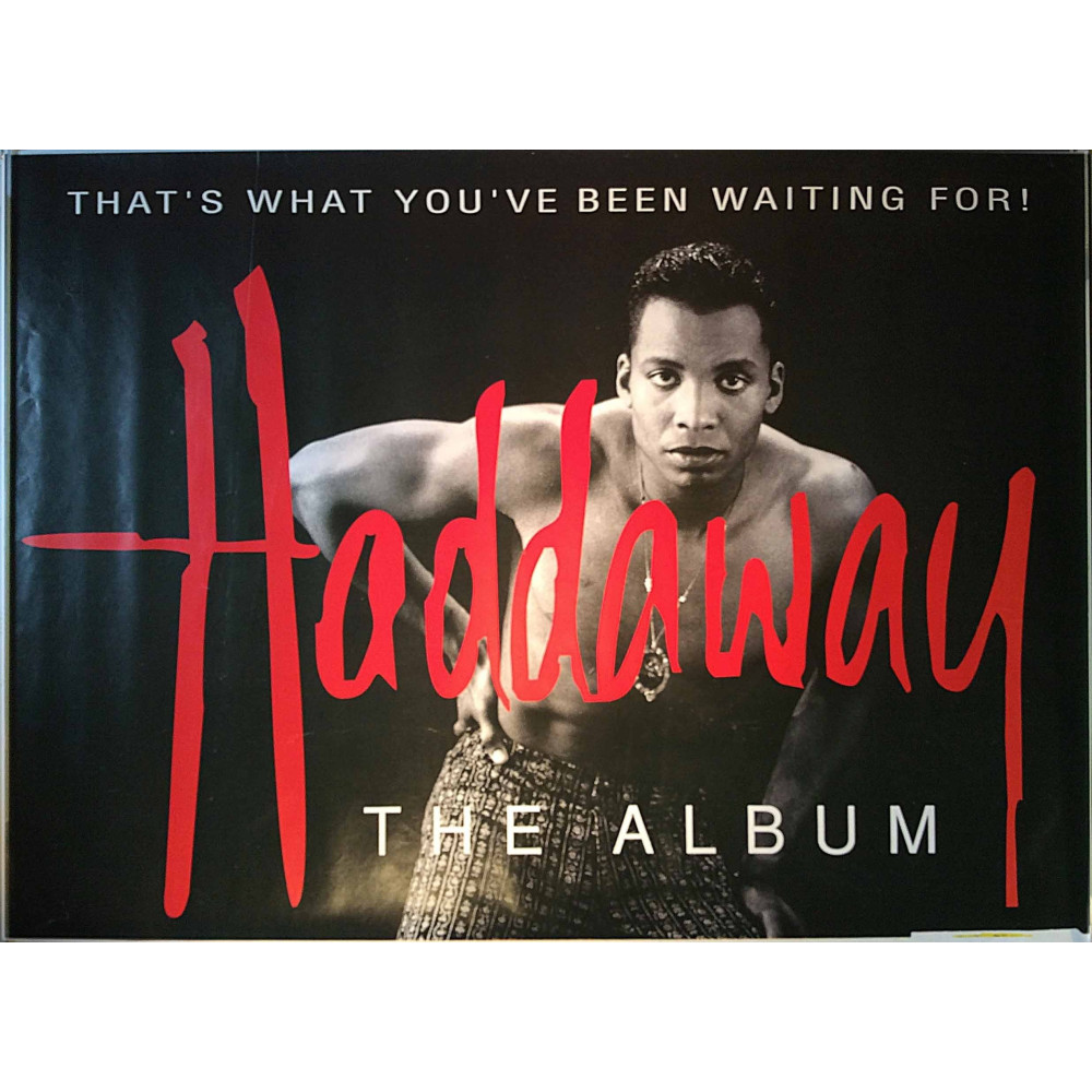 Haddaway, The Album 1993  That’s what tou’ve been waiting for! 118cm x 85cm Used Poster