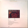 Flying Lizards: The Flying Lizards -79  kansi VG+ levy EX Käytetty LP
