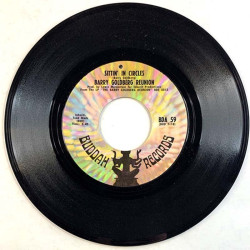 Barry Goldberg Reunion 1968 BDA 59 Hole in my pocket / Sittin' in circles second hand single