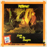Echo And The Bunnymen 1980 U 18220 Rescue / Simple Stuff begagnad singelskiva
