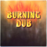 Revolutionaries 1979 BV 1010 LP Burning Dub Used CD