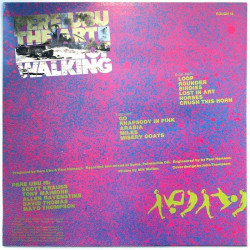Pere Ubu 1980 ROUGH 14 The Art Of Walking Used CD