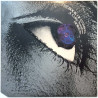 Horslips 1976 DJLPA-10 The Book Of Invasions A Celtic Symphony Begagnat LP