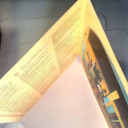 Man: Rhinos, Winos, And Lunatics  kansi EX levy EX Käytetty LP