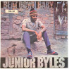 Junior Byles : Beat Down Babylon - LP