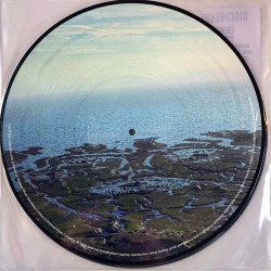 Disclosure : Energy kuva-LP - LP