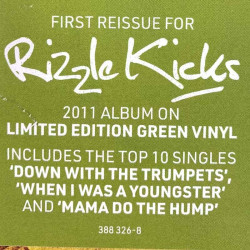 Rizzle Kicks : Stereo Typical - green vinyl - LP