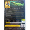 DVD - Dokumentti 2002  Life of Mammals - David Attenborough 4DVD DVD Begagnat