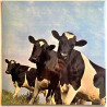 Pink Floyd 1970 PFRLP5 Atom heart mother LP