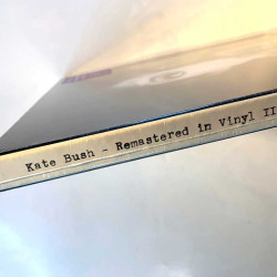 Bush Kate 2018 0190295593957 Remastered in vinyl 2 4LP LP
