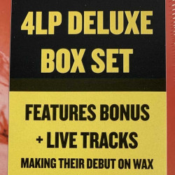 Stone Temple Pilots : Core 4LP - LP