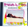 Malavoi, Djavan, Astrud Gilberto ym.: Boulevard De La Plage - Ambiance Cool  kansi VG+ levy EX Käytetty CD