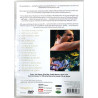 DVD - Queen : Rock you from Rio - DVD