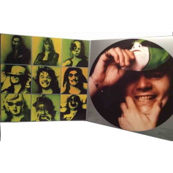 Steve Miller Band 1973 00602567239116 The Joker LP
