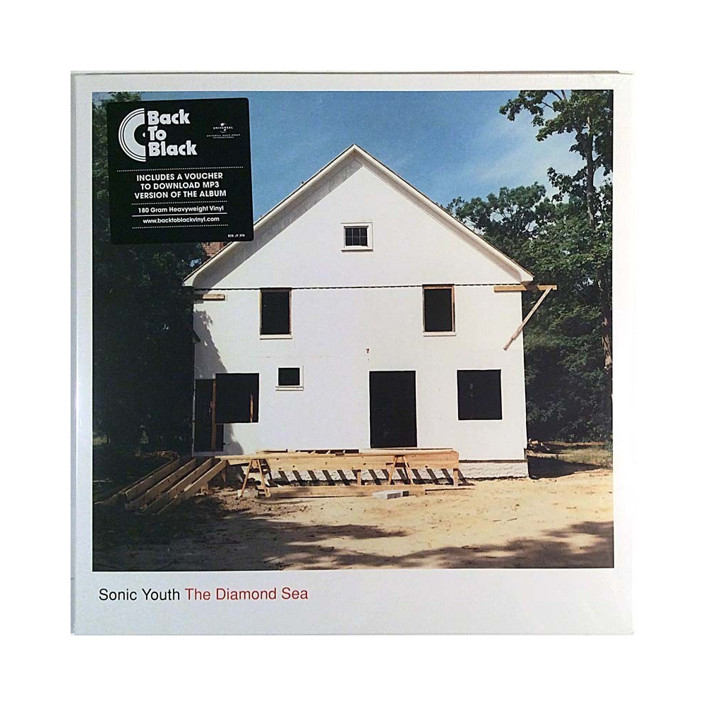 Sonic Youth 1995 B0024010-01 The Diamond Sea LP