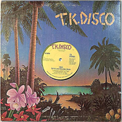 Foxy 1979 TKD-131-R2 Hot Number 12-inch maxi Used LP