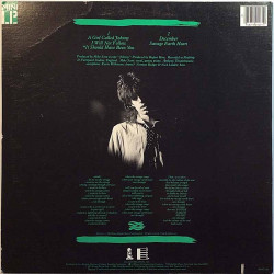Waterboys 1984 90147-1 The Waterboys mini LP Used LP