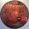 Saxon 2009 DEMREC 190 Into The Labyrinth kuva-LP LP