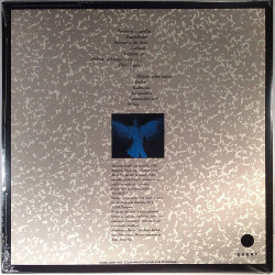 Noitalinna Huraa! 1989 SRE15 Varjotarha ( musta vinyyli ) LP