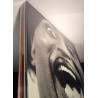 Little Richard : Mono Box 5LP - LP