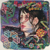Rundgren Todd : A Wizard  a True Star - Begagnat LP