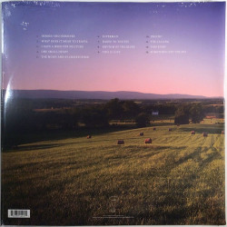 Carpenter Mary Chapin 2018 LLR002-1 Sometimes Just The Sky 2LP LP
