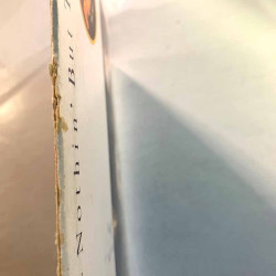 Winter Johnny LP Nothin' but the blues  kansi VG- levy VG+ Käytetty LP