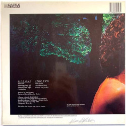 Oldfield Sally LP Celebration  kansi VG+ levy EX Käytetty LP