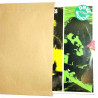LP:n paperinen suojakotelo 10kpl   ruskea 32.5 cm x 32.5 cm Tillbehör