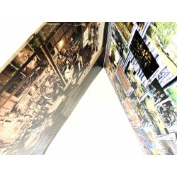 Walker Jerry Jeff LP Viva Terlingua!  kansi VG levy EX- LP