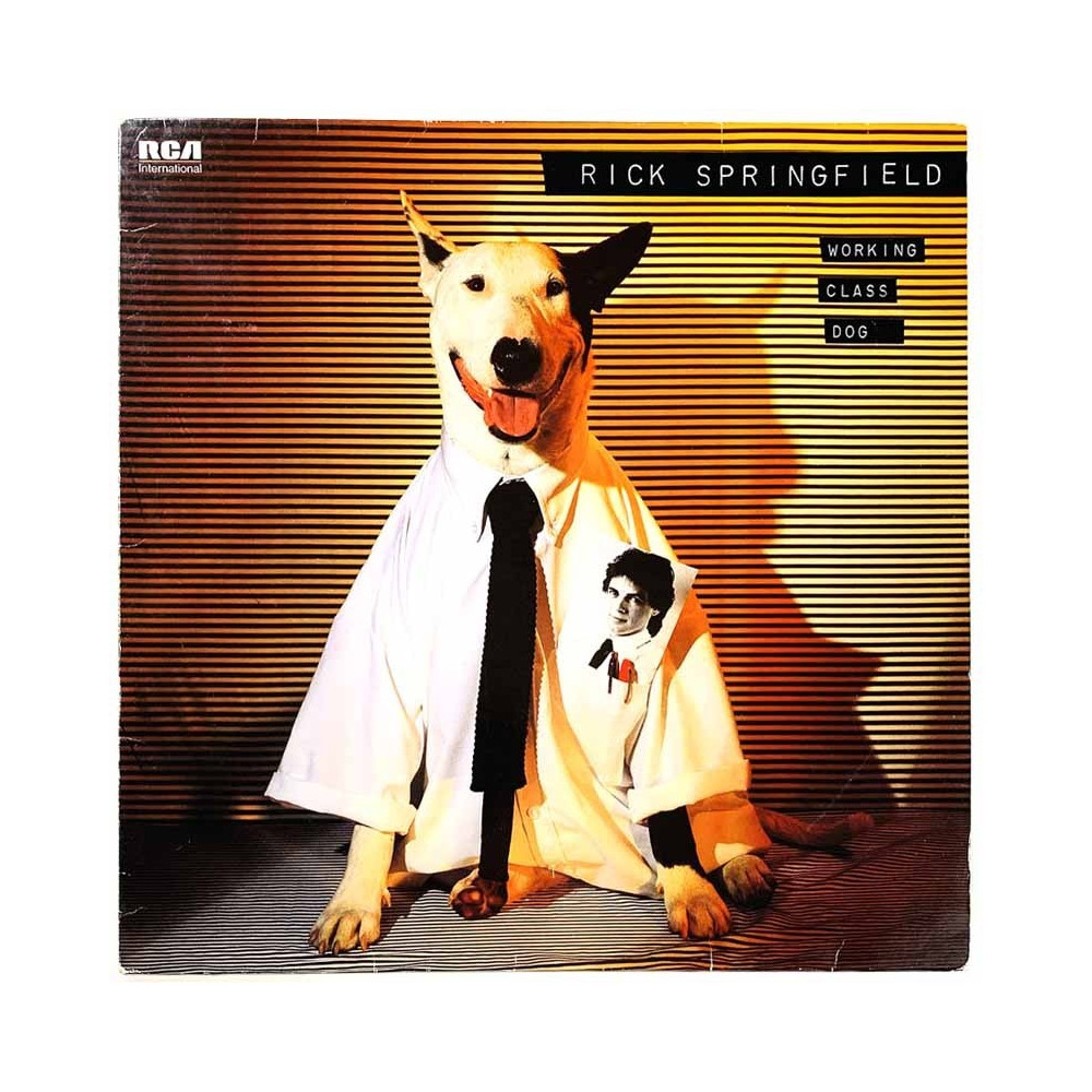 Springfield Rick LP Working class dog  kansi VG+ levy EX LP