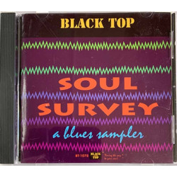 Ronnie Earl, Snooks Eaglin, Rod Piazza CD Soul Survey a blues sampler  kansi EX levy EX Käytetty CD