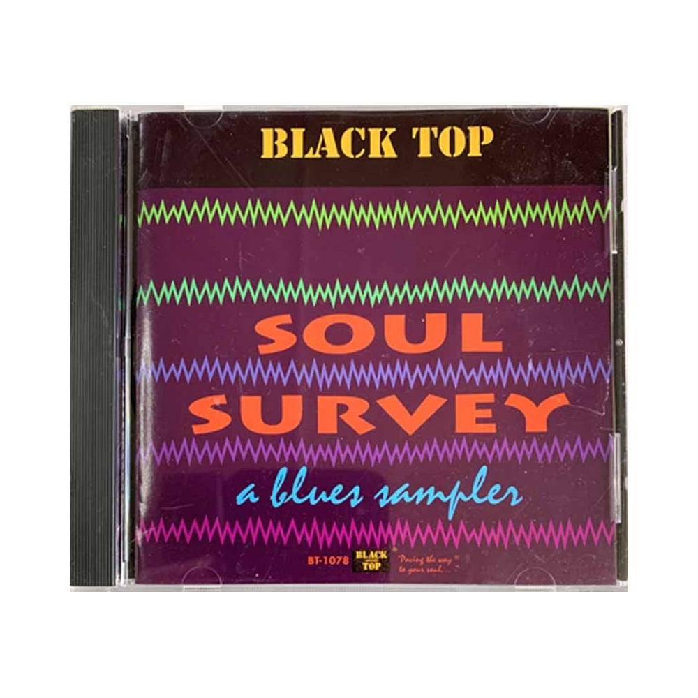 Ronnie Earl, Snooks Eaglin, Rod Piazza CD Soul Survey a blues sampler  kansi EX levy EX Käytetty CD