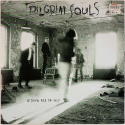 Pilgrim Souls LP Is this all of us?  kansi EX levy EX Käytetty LP