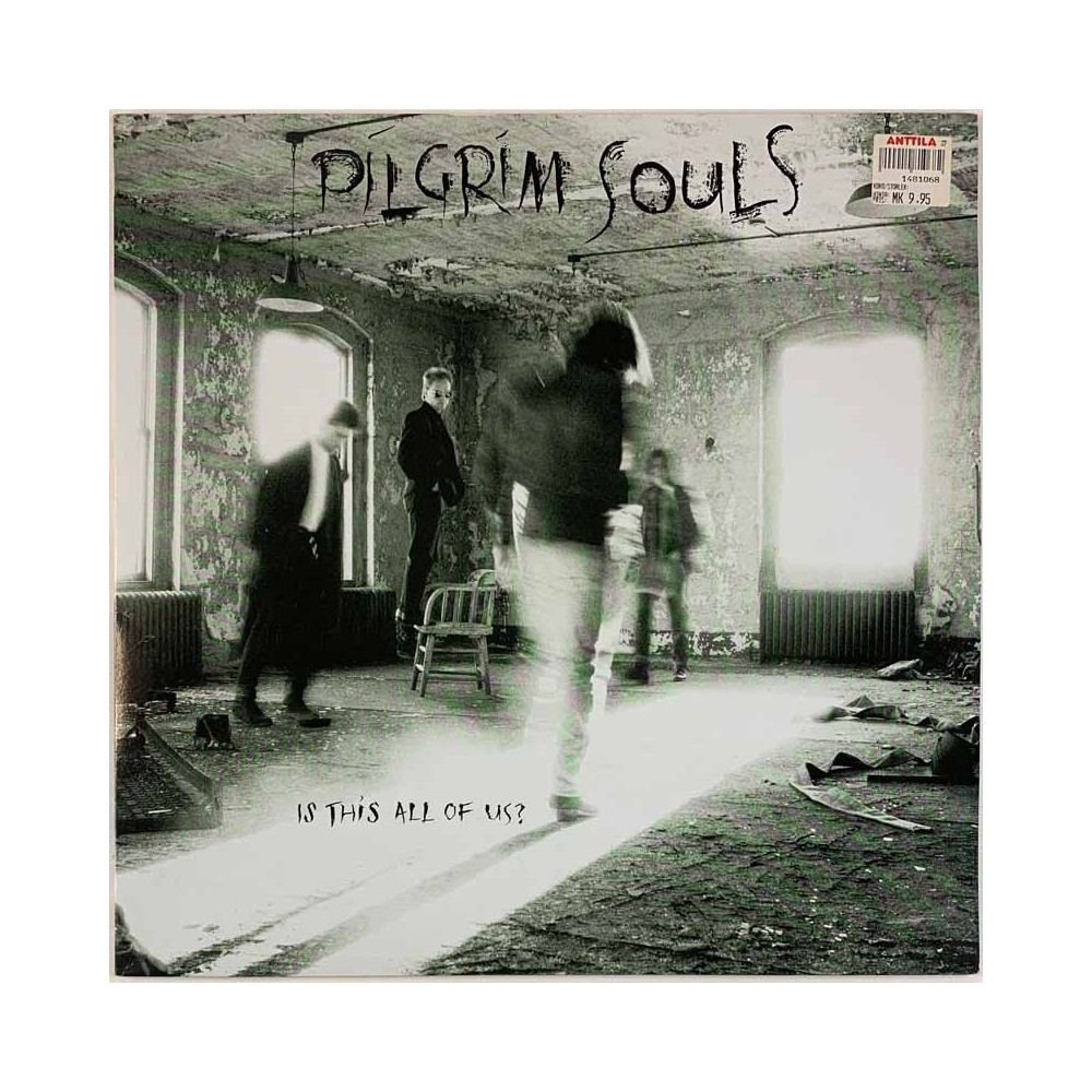 Pilgrim Souls LP Is this all of us?  kansi EX levy EX Käytetty LP