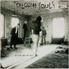 Pilgrim Souls LP Is this all of us?  kansi EX levy EX Käytetty LP