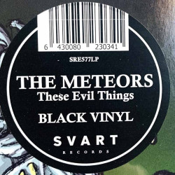 Meteors LP These evil things black vinyl - LP