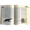 Great Outdoors Guide 1978 0-553-11112-X To the U.S.A. & Canada Käytetty kirja