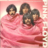Pink Floyd : The Illustrated Biography - Något använd bok
