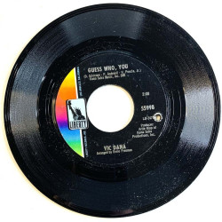 Dana Vic 1967 55998 A lifetime lovin' you / Guess who, you begagnad singelskiva