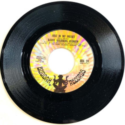 Barry Goldberg Reunion –  vinyylisingle Hole in my pocket / Sittin' in circles  kansi Ei kuvakantta levy EX käytetty vinyylising
